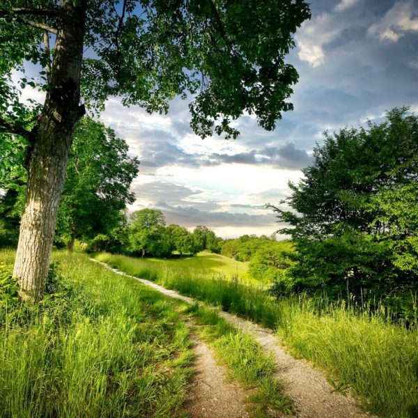 Achtsamkeitswanderung Sinnes- & Achtsamkeitswanderung - Workshop an der Akademie sinnesschmiede Graz